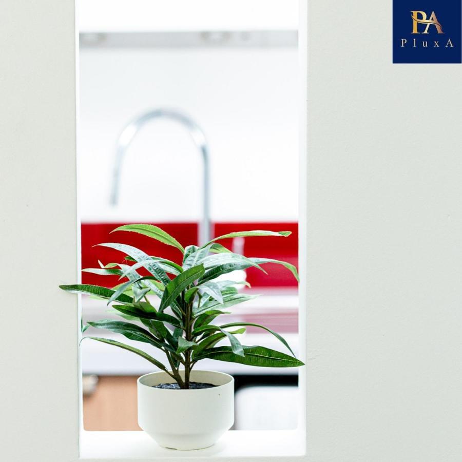 Pluxa Vivid Veranda Beautiful City Centre Apartment With Free Parking Birmingam Exterior foto